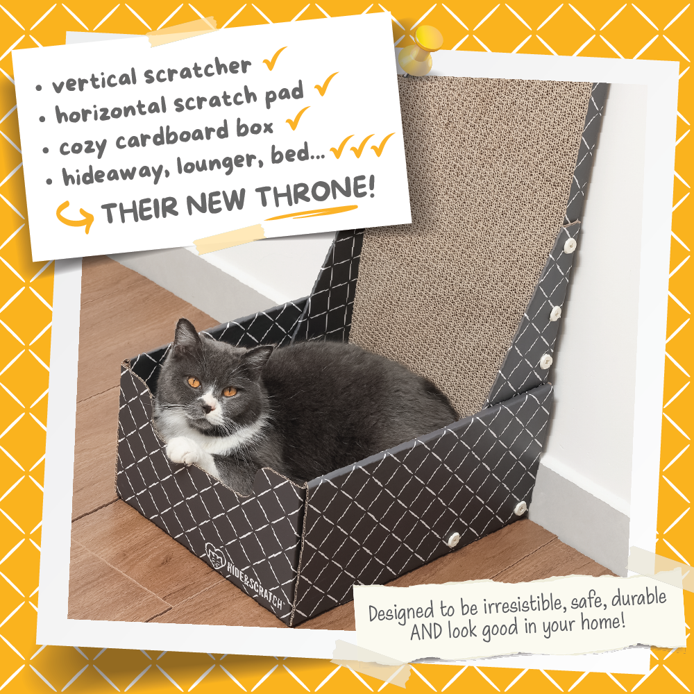 26" L Shaped Cat Scratcher Box and Cat Bed with Double-Sided Cardboard Cat Scratch Pad-1