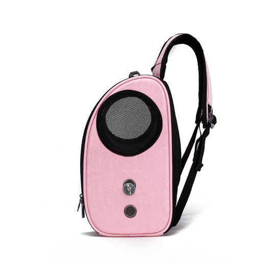 Foldable Airvent Pet Carrier